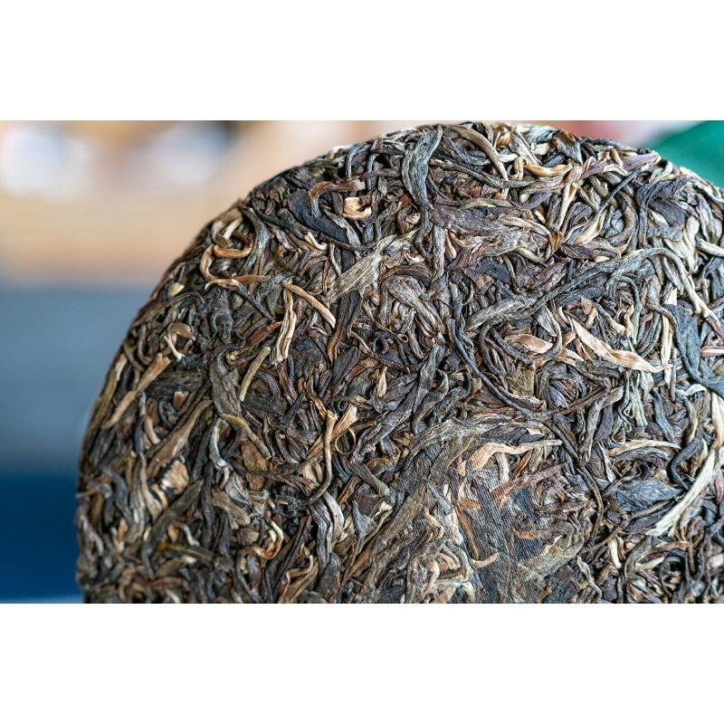 357g Lao Banzhang Puerh Tè crudo Yunnan Ancient Tree Puerh Tè a sette semi