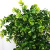 4Pcs 30-Inch Hanging Artificial Green Plants Realistic Fake Eucalyptus Leaf Vine Indoor