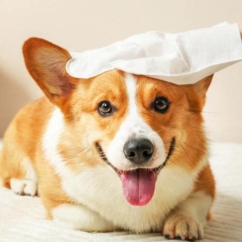 Pet Wash-Free Gloves: A Disposable Bathing Tool for Pets. Pet Supplies: Deodorizing Dry Cleaning Wipes for Cats and Dogs.
