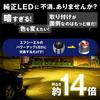 Fcl. L1B Fog Lamp LED New Genuine Replacement Bulb White