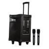 Edifier D3-8s 8-inch Portable Bluetooth Trolley Speaker CN Plug (adapter Included)