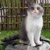 Thumbs Up Cat Figurine - Coffee Shop Ornament with Short-haired, Ragdoll, and Countryside Cat Designs