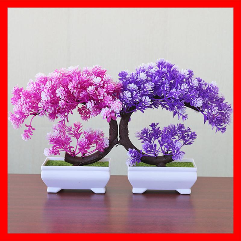 Plastic Bonsai Terrarium With Creative Design For Indoor Garden Display