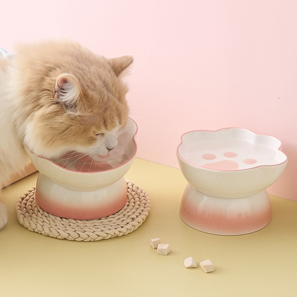 Slanted Dog Food Bowl High Foot Pet Drinking Bowl Snack Bowls Ceramic Cat Bowl  For Cats Dogs