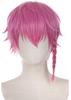 Cosplay School Festival Heat-Resistant Wig, Prop, Unisex, Costume, Event, Christmas, Halloween, Festival, Gift, (Ranze Kurona)