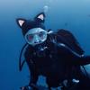 Diving Cap Neoprene Scuba Dive Hood Surf Thermal Wetsuit Swim Hat with Cat Adjustable Chin Strap