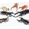 Figure The Access 3D Beetle World Beetles World Stag Set of Realistic Insect Figure New Design Edition [Insect Set] Encyclopedia & Beetles, 2, Toys,