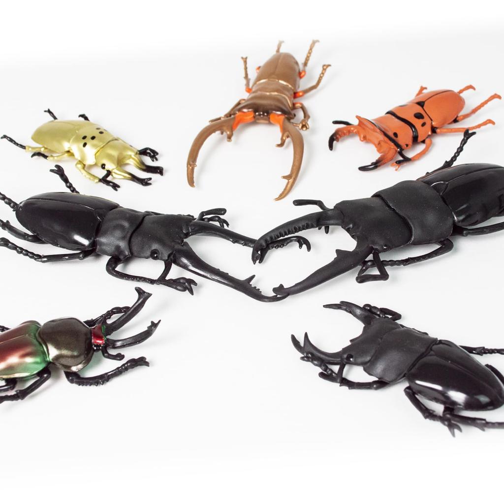 Figure The Access 3D Beetle World Beetles World Stag Set of Realistic Insect Figure New Design Edition [Insect Set] Encyclopedia & Beetles, 2, Toys,