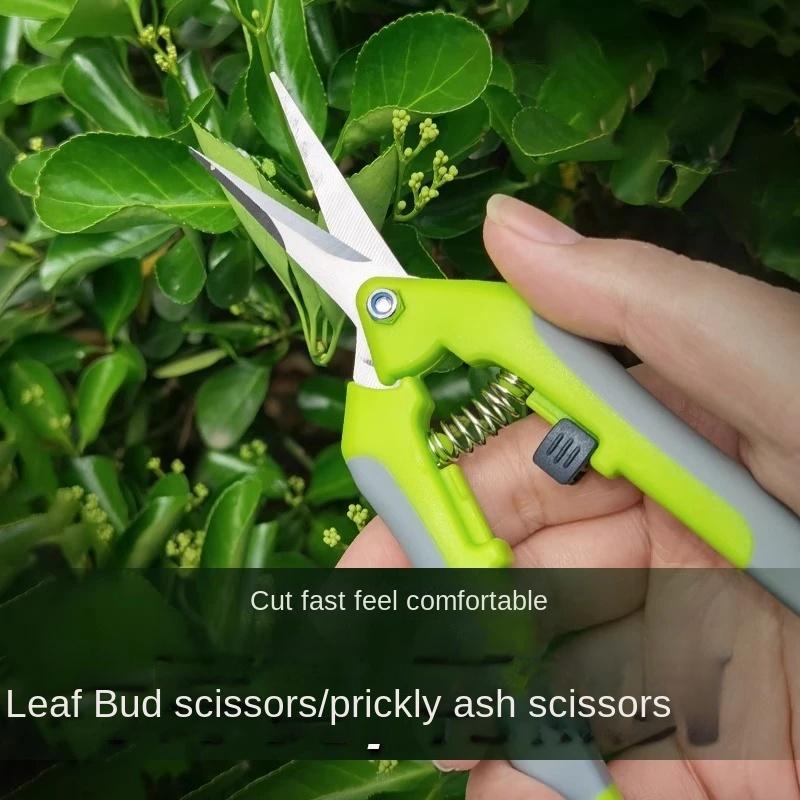 1-10Pcs Garden Scissors Pruning Shears Vegetable Pruning Shear Branches Fruit Tree Shear Fruit Garden Tools Fruit Pick Scissors