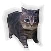 Rotating Cat Cat Paper Model Home Decoration Kitten Paper Model 3D Folding Paper Cat  For Children