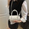 New autumn handbag small bag bag women's premium polka dot niche pillow bag single shoulder messenger bag