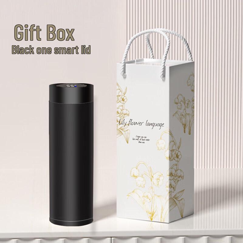 Smart LED Temperature Display 316 Stainless Steel Insulated Bottle