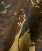 BROWNBREATH Tag Camouflage Banding Pants - Brown