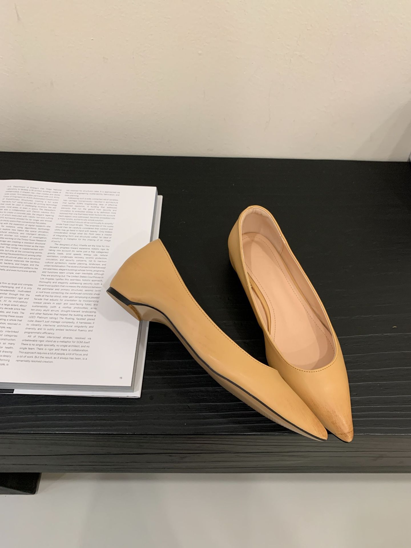 

One-word button polished pointed French Mary Jane single shoes 2025 spring new retro low-heeled flat shoes 39 абрикосовый