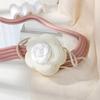 Süße florale Sommer-Strohhut-gewebte Crossbody-Mini-Tasche 2025