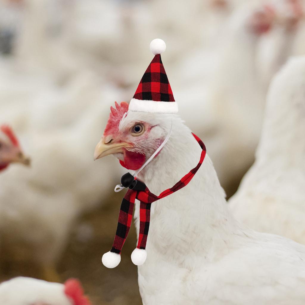 Pet Christmas Dressup Set,1set Chicken Guinea Pig Lizard Pet Christmas Dressup Set