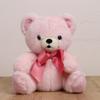 Takeoff Plush Bear Popolibon M Pink