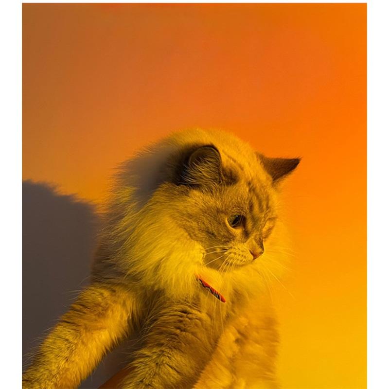 Sunset Lights USB Floor Sunset Lights Aura Lights Rainbow Background Projection Decoration Dusk Internet Celebrity Sunset Lights