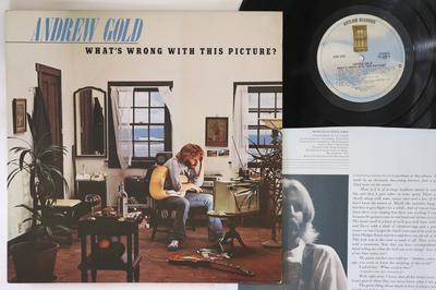 LP Plaat ANDREW GOLD - What's Wrong With This Picture ? 7E1086 ASYLUM 1976 VS Rock Gebruikt