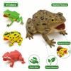 Realistic Texture Simulation Frog Toy Lifelike Appearance Toad Figurine  Animal Collections