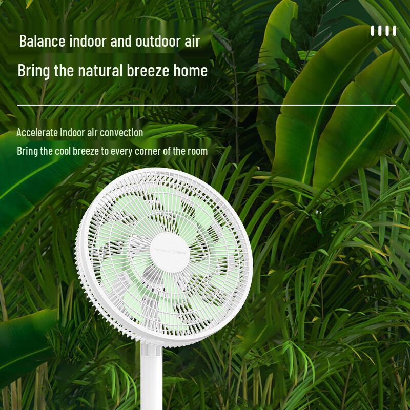 Royalstar FS12-301B Quiet Oscillating Pedestal Fan CN plug (adapter included)