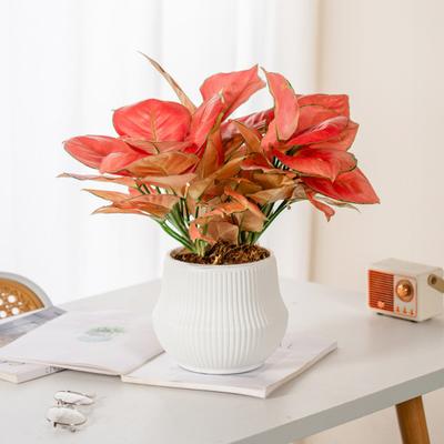 Decorazioni per la casa – Ghirlande e fiori artificiali