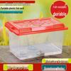 Children's Portable Transparent Pet Transport Box: Small to Large Fish/Turtle Tank