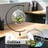 Moon Shape Banana Holder Wood Base Pendant Hanging Rack NEW Wreath Hanging Rack  Home Decoration