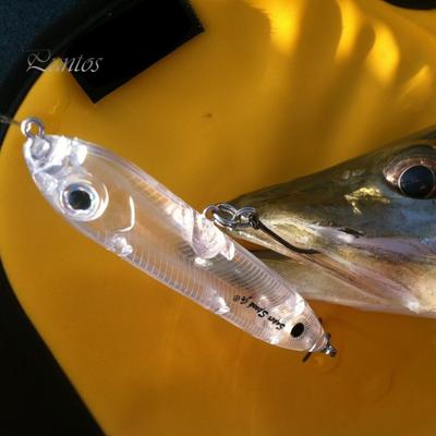 9,5 cm/10 g 9,5 cm/11,4 g Harter Angelköder Topwater schwimmender künstlicher Bleistiftköder Salzwasser Süßwasser Barsch Zander Forelle Angelzubehör