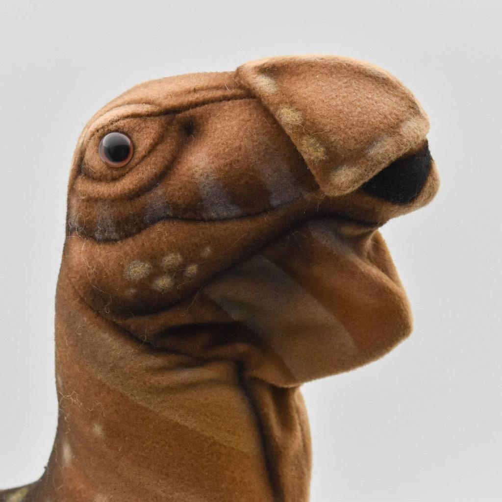 BH7786 HANSA Muttaburrasaurus 58