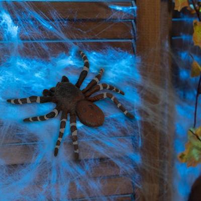 Decorazione ragno realistica di Halloween Ornamento ragno simulato modello animale ornamento per l'educazione scientifica Regalo di Halloween per bambini