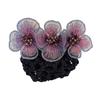 Nurse Hair Snood Flower Decor Fishnet Hollow Out Anti-slip Elastic Hair Decoration OL Style Airline Stewardess Waitress Hair Snood Women Head
