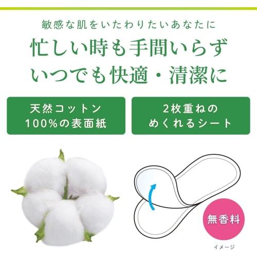 Bulk Purchase: Sarasaty Double-Layered Removable Panty Liners, Unscented, 72 Sheets (36 Pairs X 2 Sheets) X 4 Packs