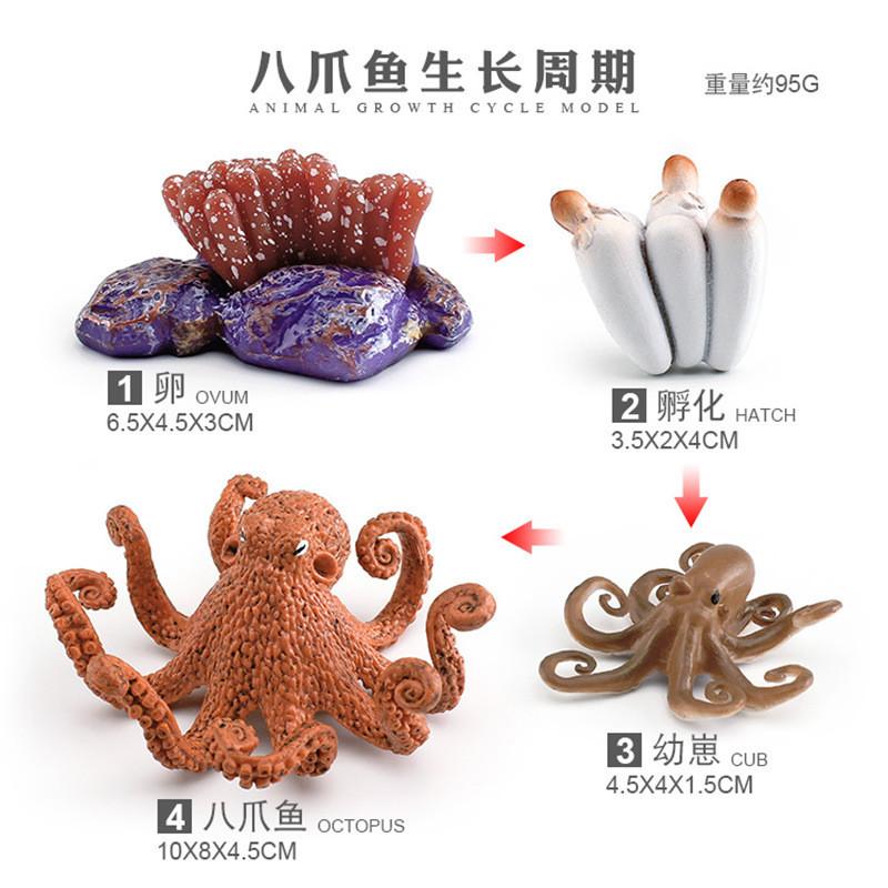 Detaillierte Kunststoff-Oktopus-Lebenszyklus-Figur für interaktives Lernen und Spielen