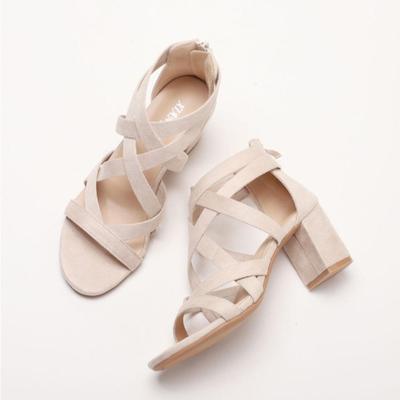 Sandals Women Fashion 2025 New Versatile Coarse Heel Roman Style High Heels Women Sandals Rear Zipper Summer Womens Shoes