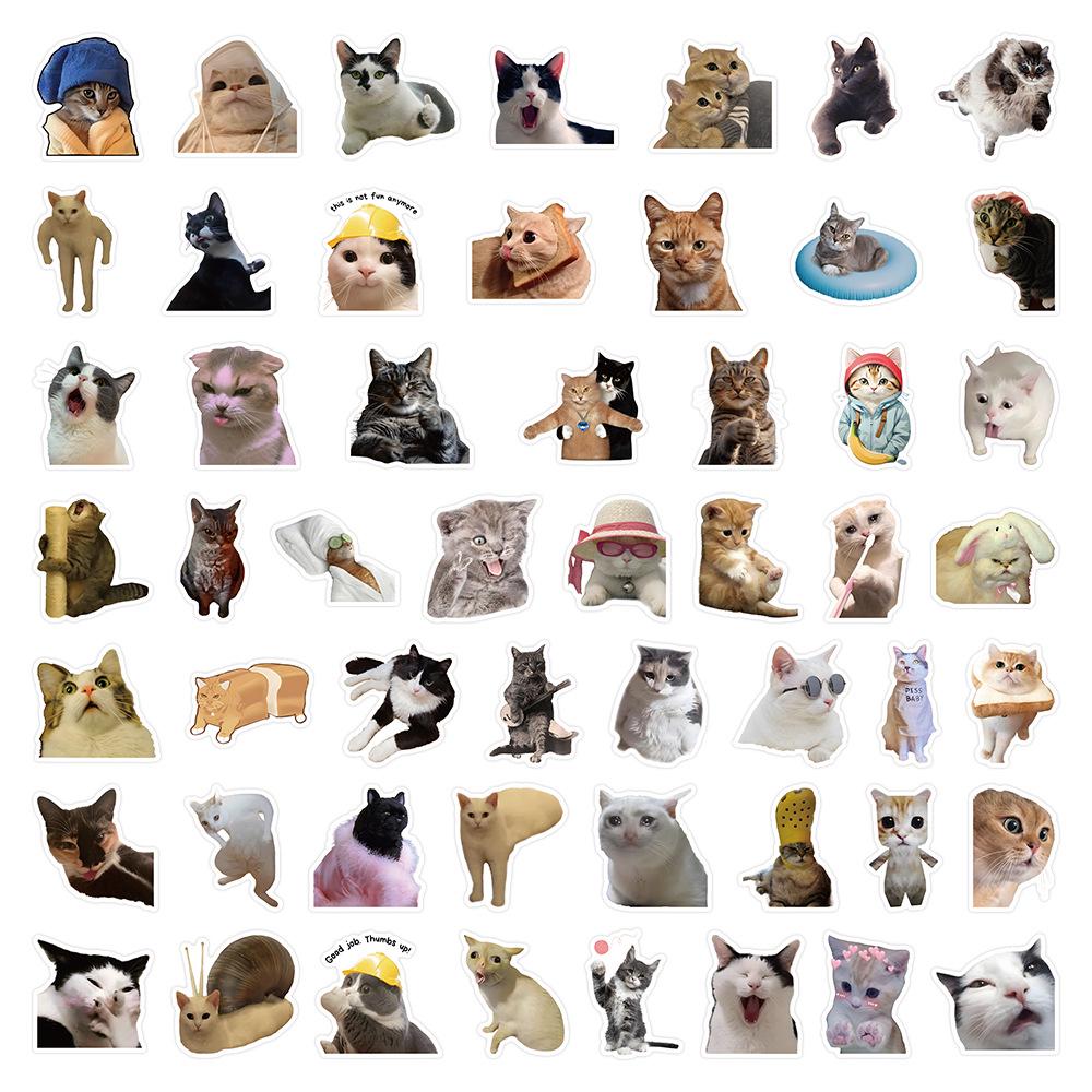 53 Sheets of Cute Cartoon Kitten Expression Stickers for Phone Cases, Planners, and Notebooks