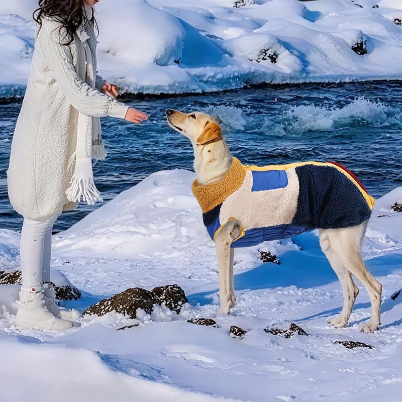 Winter Dog Coat With Zipper Warm Cotton Vest Medium To Large Breeds Golden Retriever Labrador Outerwear