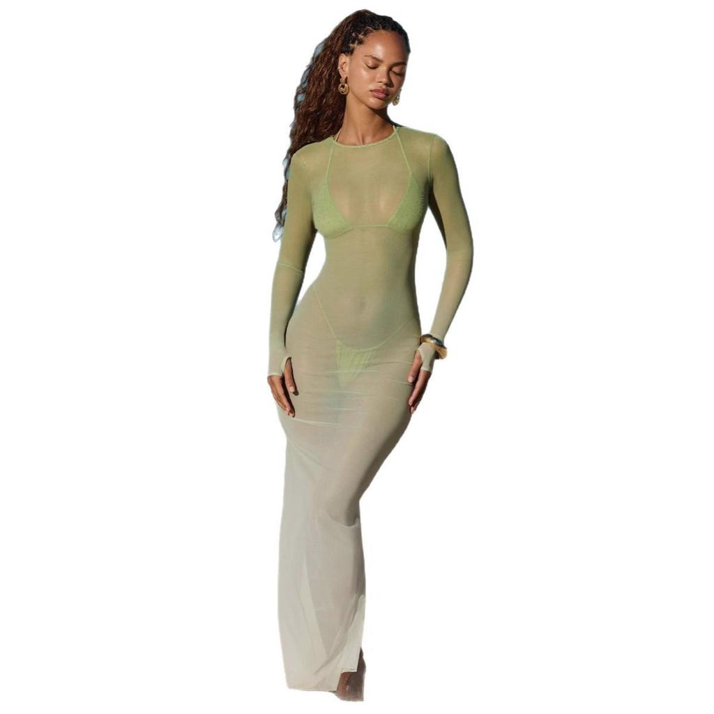 New European American Style Slim Fit Sheer Mesh Long Dress, See Through Long Sleeve Maxi Dress for Beach Wear, Casual Layering Dress