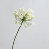 Falsche Agapanthus-Blumen Zweig Langer Zweig Künstliche Blume Neue Falsche Lotusblume Foto Requisiten