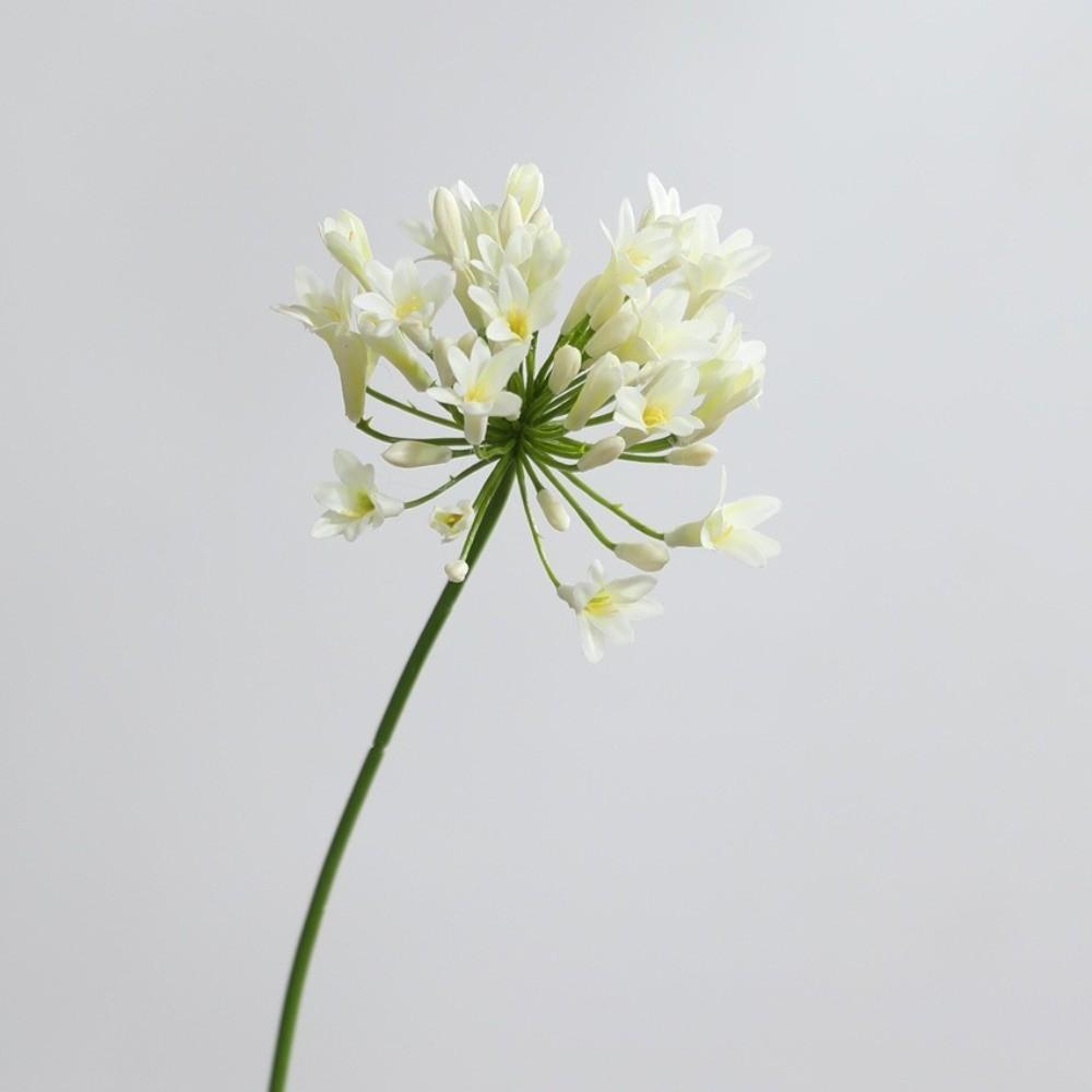 Falsche Agapanthus-Blumen Zweig Langer Zweig Künstliche Blume Neue Falsche Lotusblume Foto Requisiten