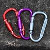 2Pcs with Lock Outdoor Sports Buckle Multi Colors D-shape Carabiner Safety Buckle Keychain