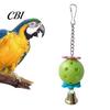 Hanging Bird Toy Parrot Foraging Ball Toy, Plastic Hollow with Bell, Cage Enrichment for Lovebird Budgie Cockatiel Conure