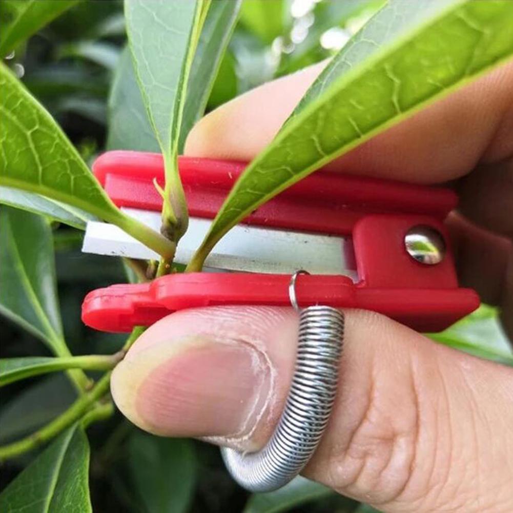 Thump Knife Separator Vegetable Fruit Harvesting Picking Tool For Farm Garden Orchard Easy To Cut In Clean And Labor-saving