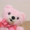 Takeoff Plush Bear Popolibon Keychain Pink