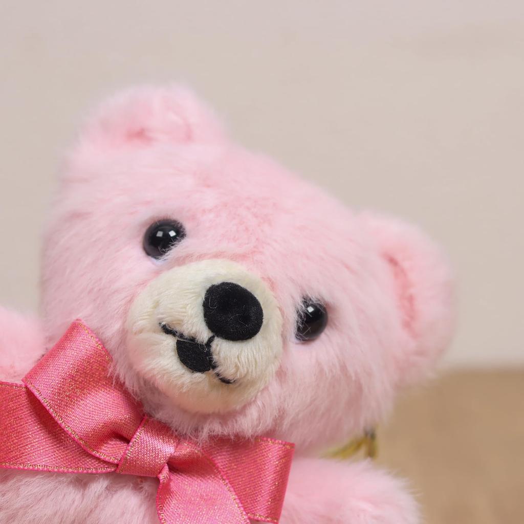 Takeoff Plush Bear Popolibon Keychain Pink