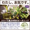 CIVGIS Organic Extra Virgin Olive Oil 1L Bottle