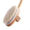Back Brush Scrubber Non Slip Dry Brushing Long Handle Shower for Bathing, Deep Cleansing,