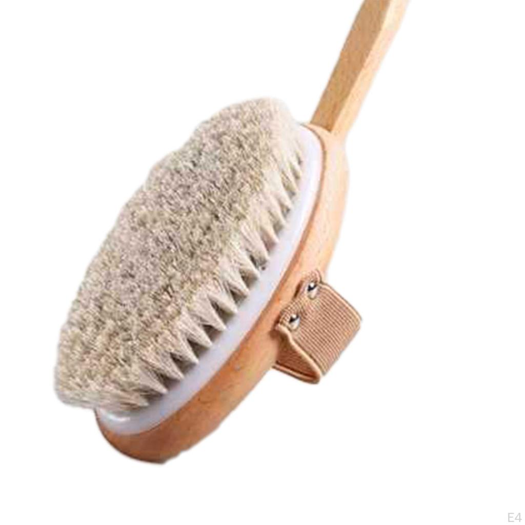 Back Brush Scrubber Non Slip Dry Brushing Long Handle Shower for Bathing, Deep Cleansing,