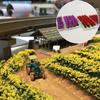 flower Materials for diorama Flower series pink Scenery collection glass model building model decoration landscape miniature garden model railway