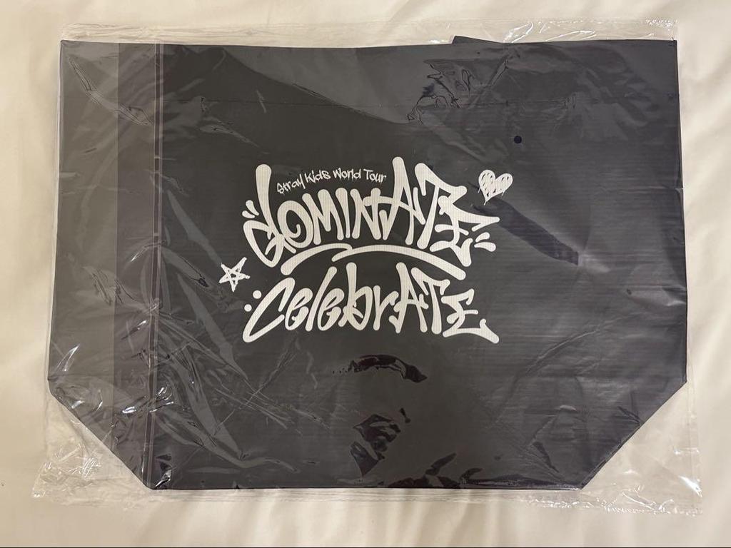 [USED] SKIZ DOMINATE CELEBRATE Pop-Up Reusable Eco Bag